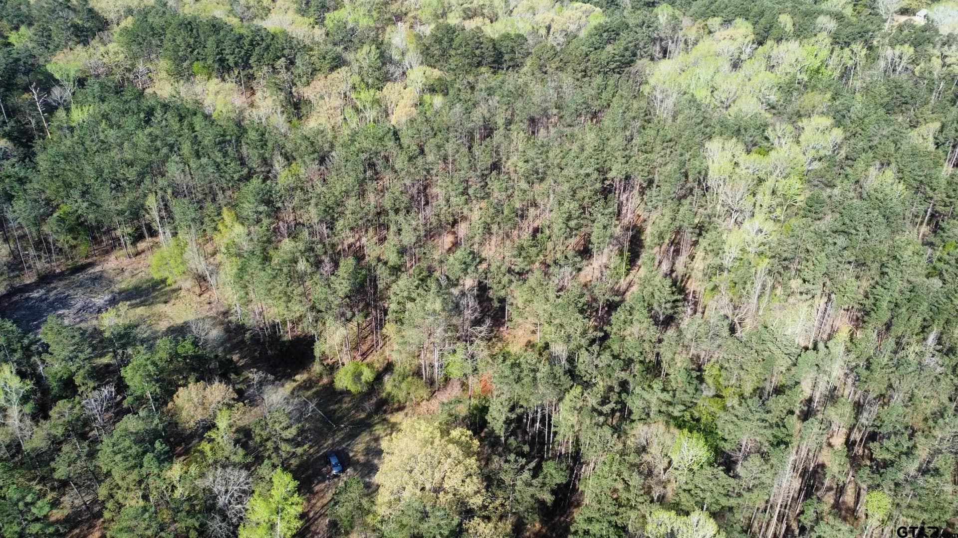 74.45 acres in Smith County - photo 21