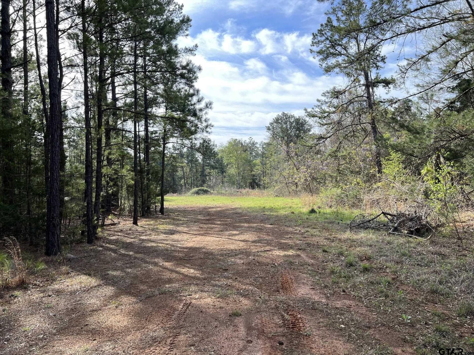 74.45 acres in Smith County - photo 8