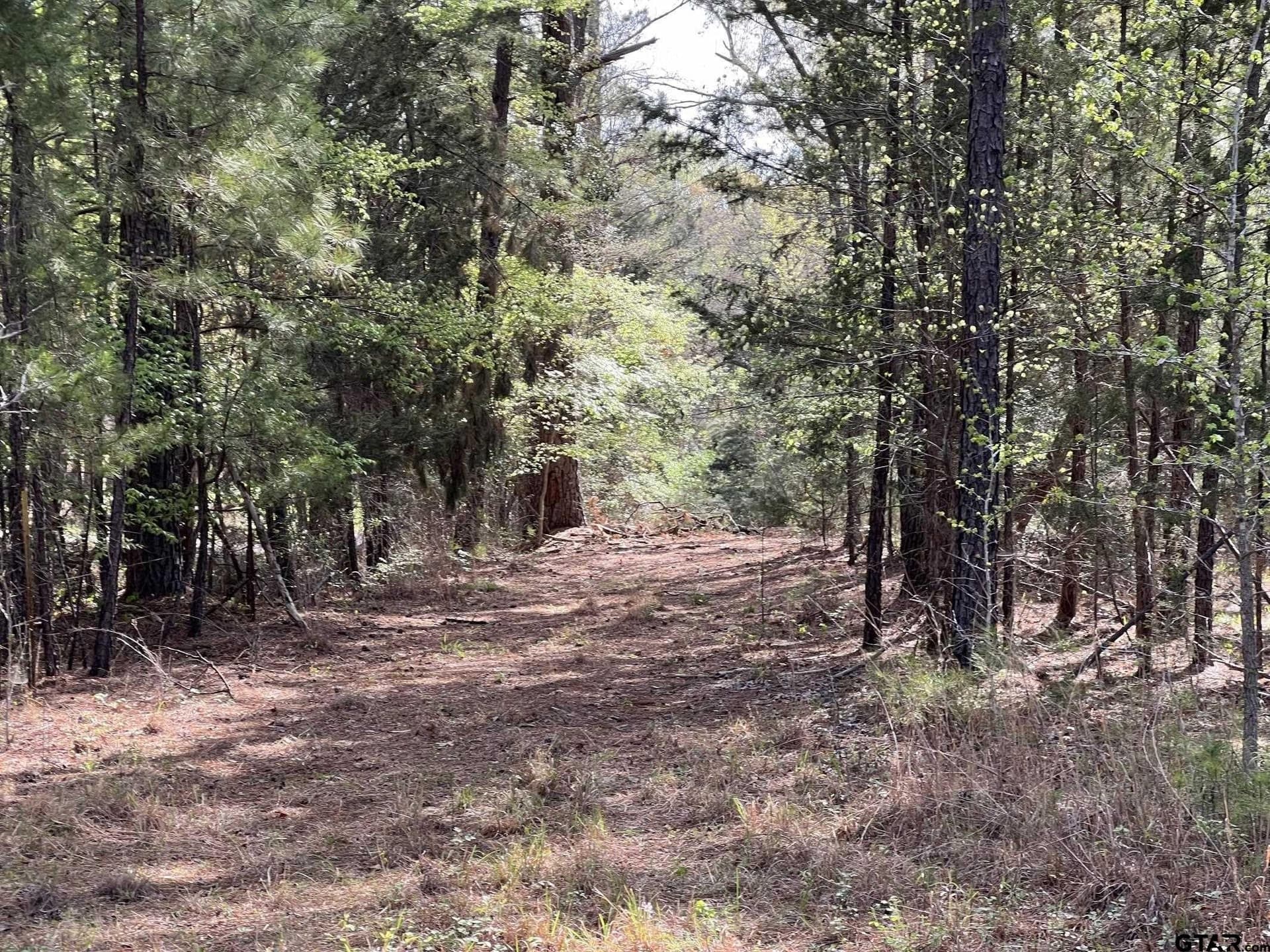 74.45 acres in Smith County - photo 23