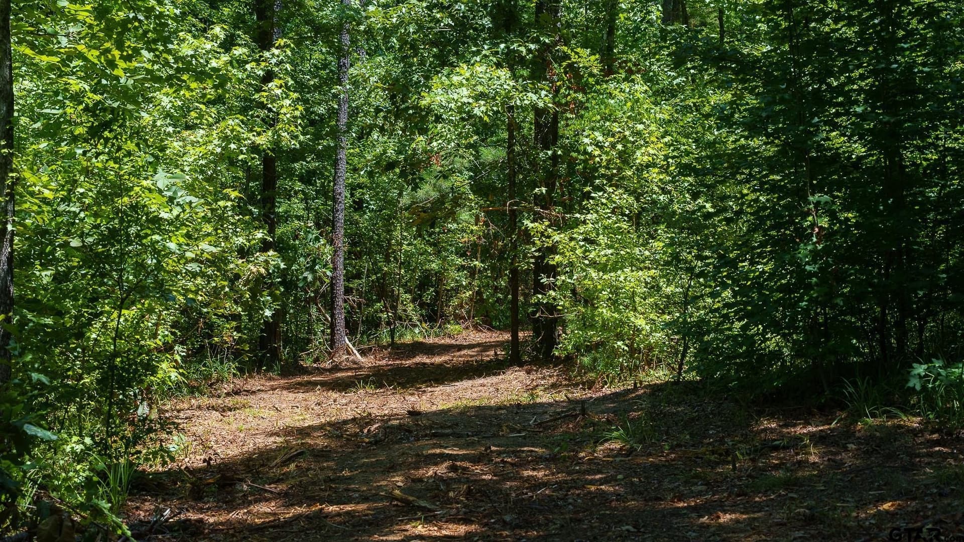 74.45 acres in Smith County - photo 6
