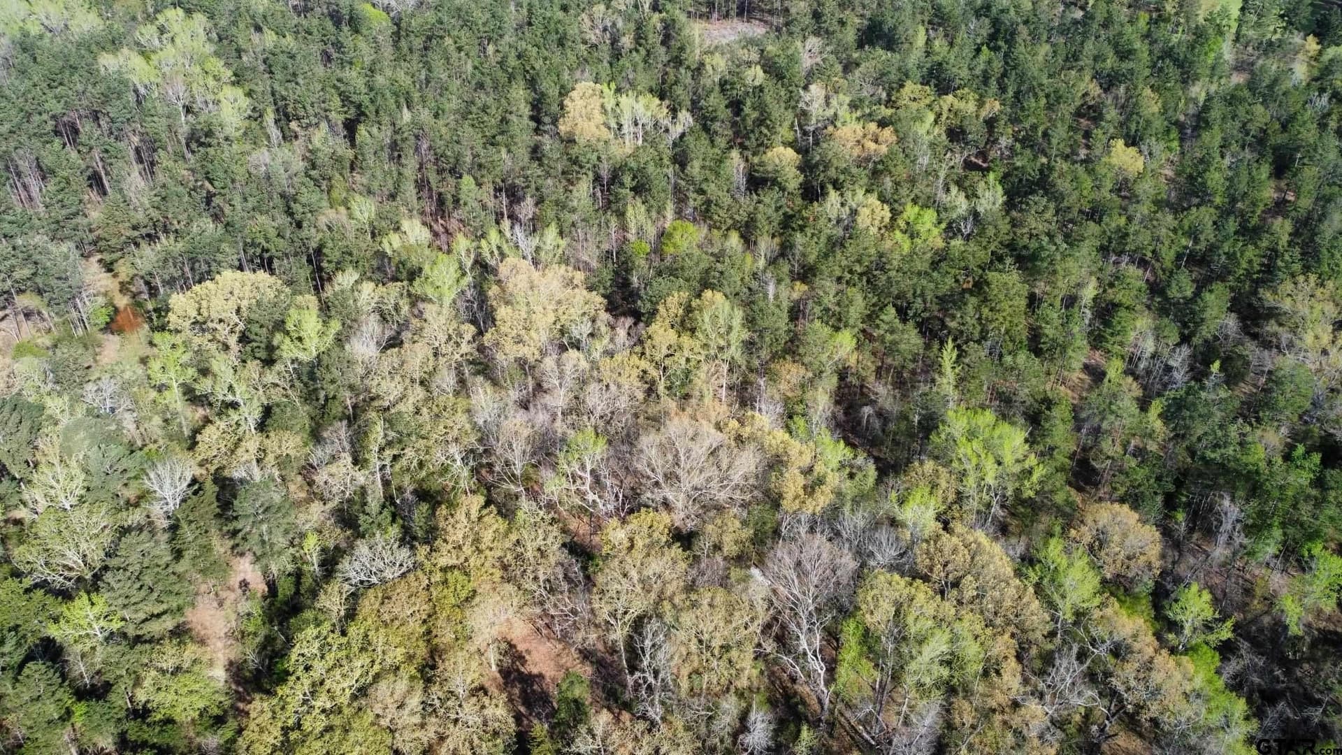 74.45 acres in Smith County - photo 34
