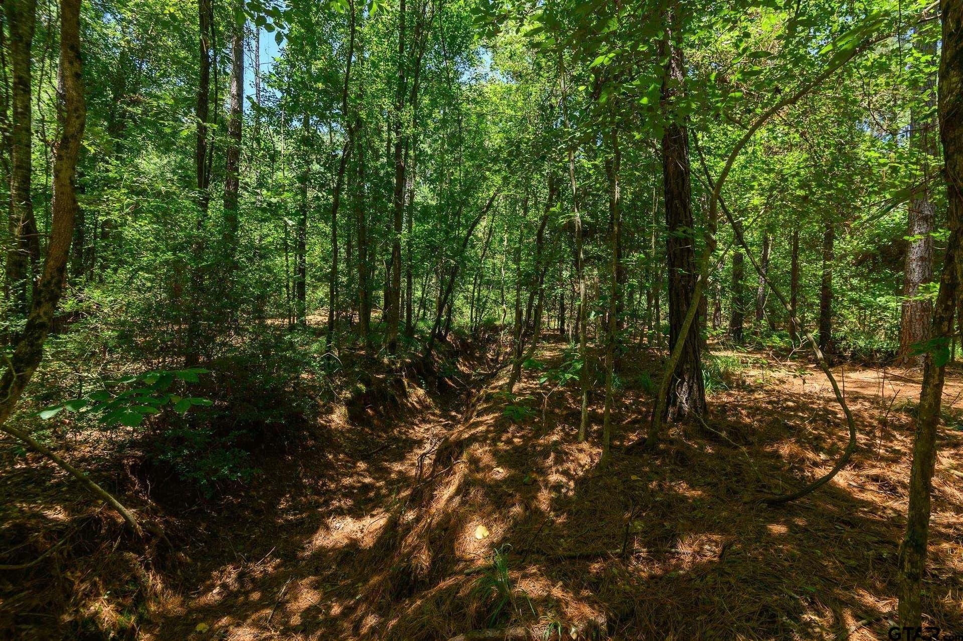 74.45 acres in Smith County - photo 14