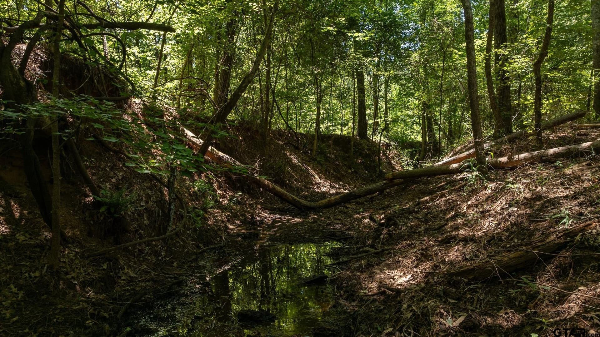 74.45 acres in Smith County - photo 15