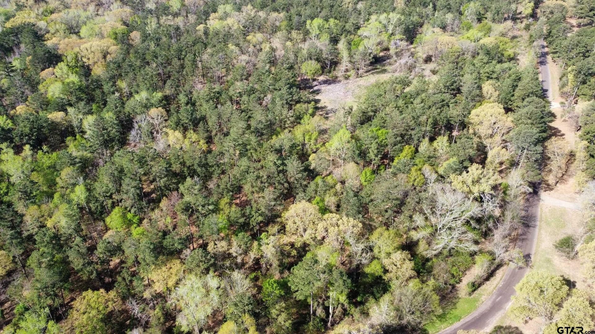 74.45 acres in Smith County - photo 25
