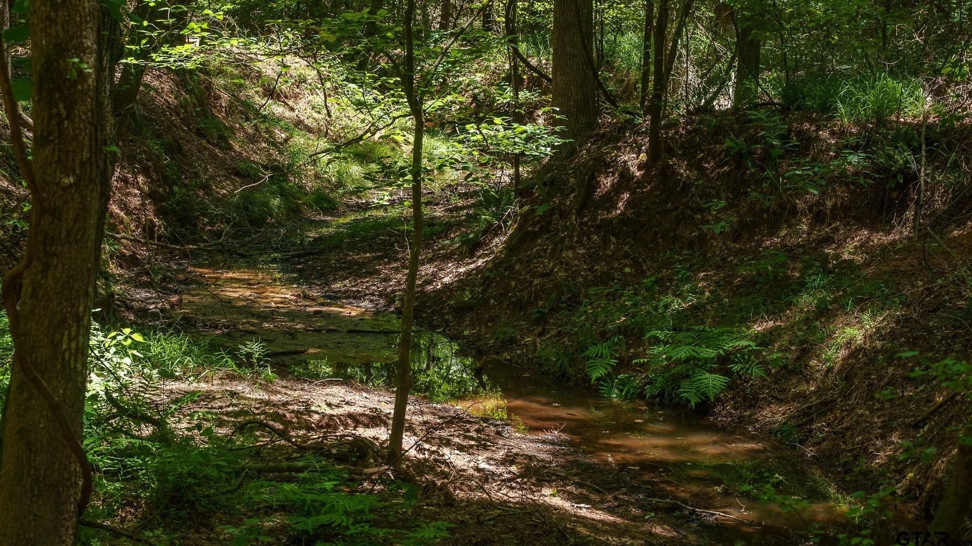 74.45 acres in Smith County - photo 10