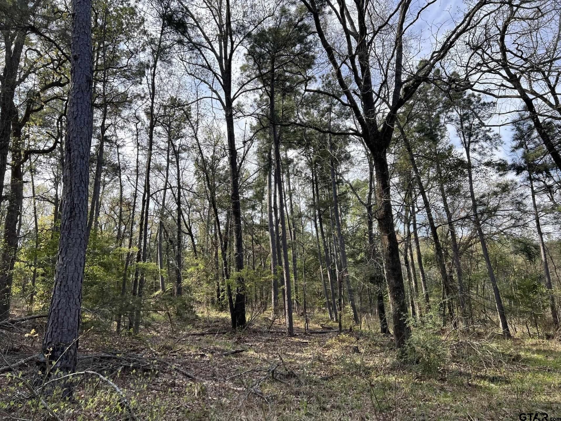 74.45 acres in Smith County - photo 13
