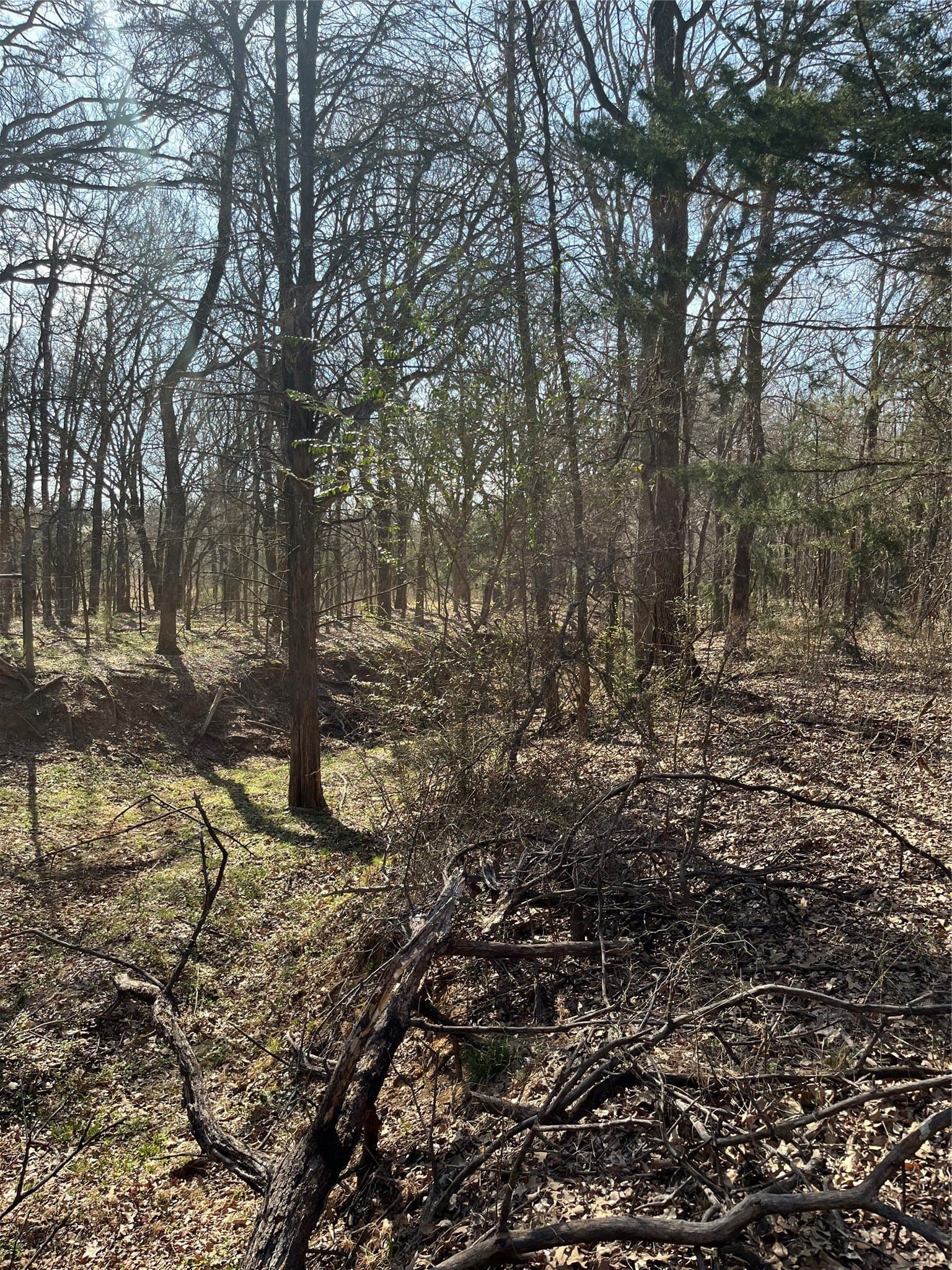 40 acres in Johnson County - photo 6