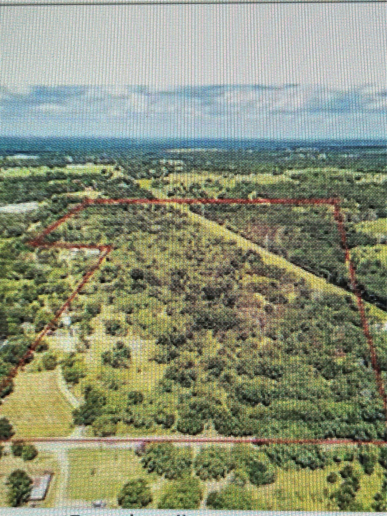 40 acres in Johnson County