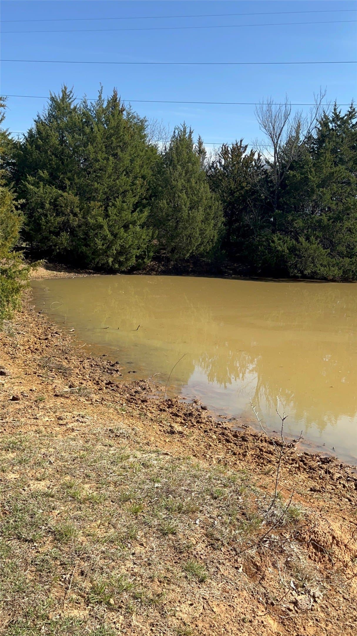 40 acres in Johnson County - photo 3
