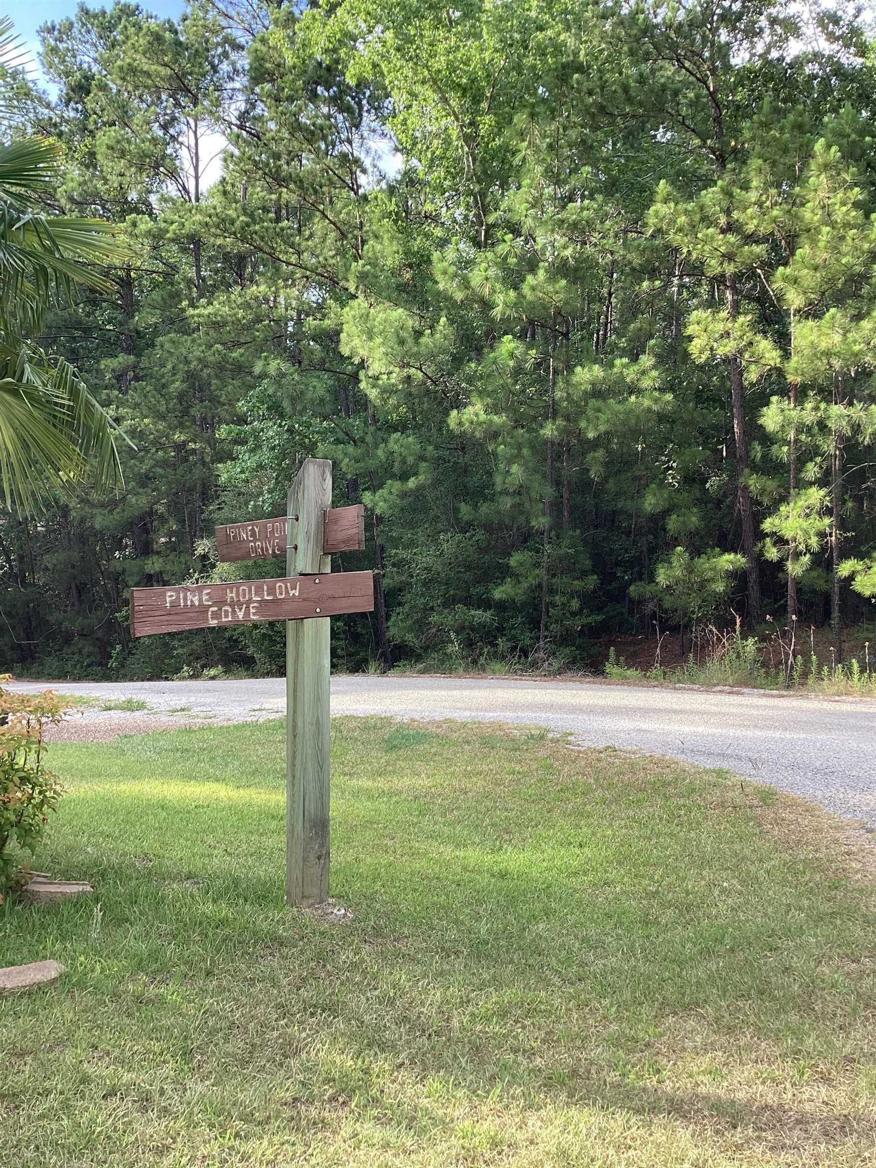 0.29 acres in Texas County