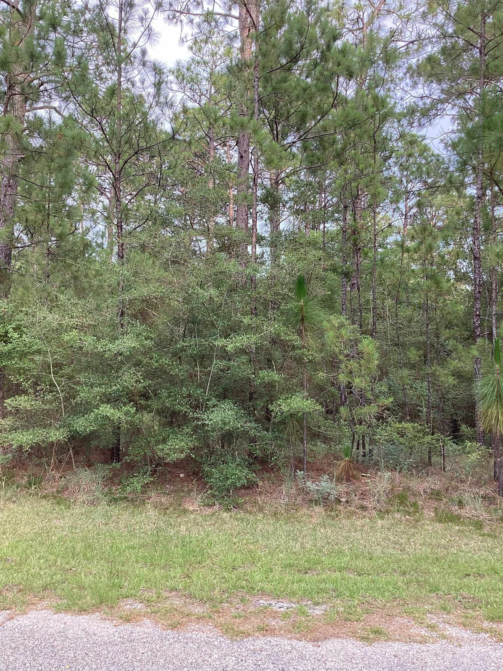 0.29 acres in Texas County gallery image 3