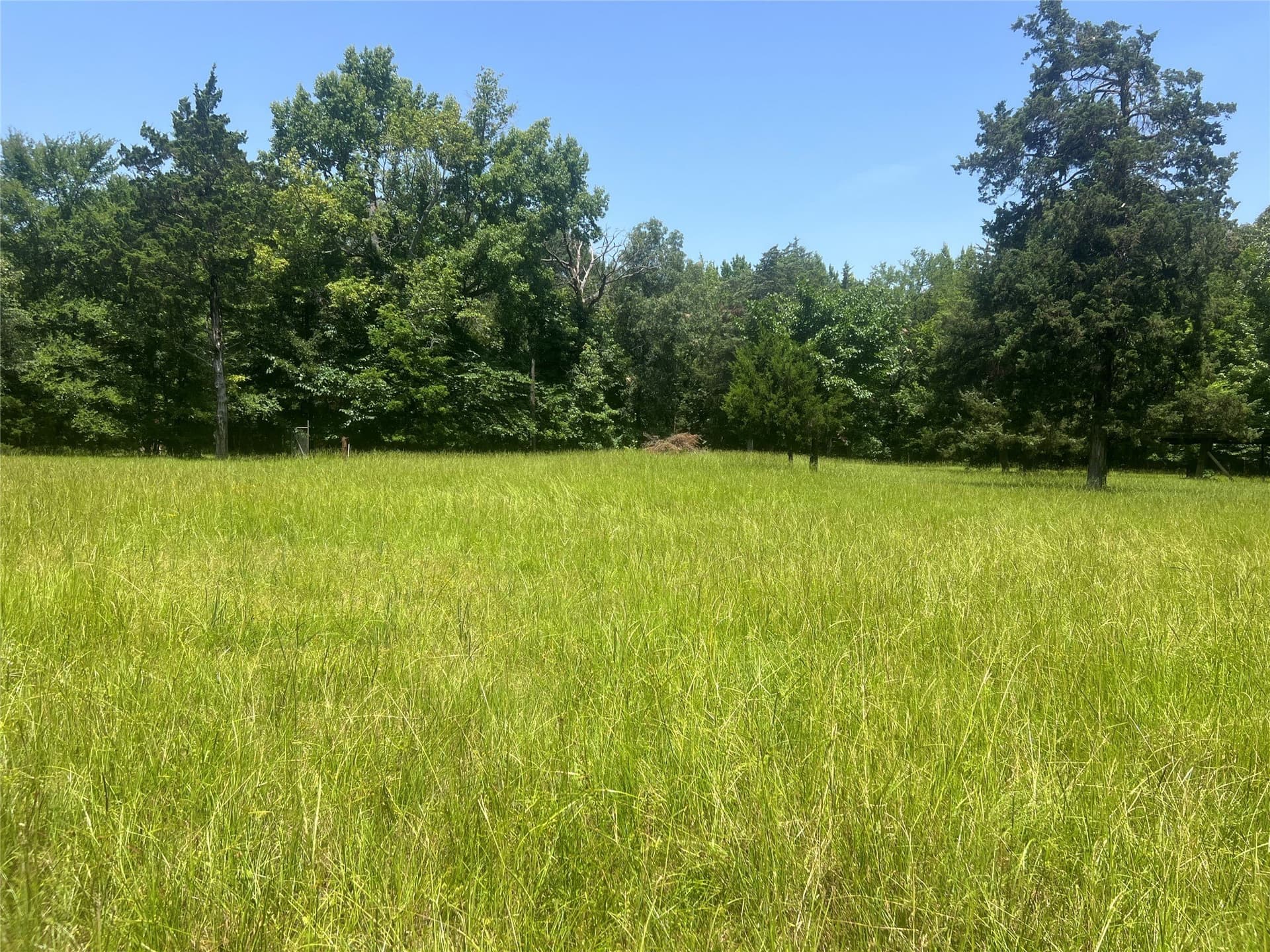 16.57 acres in Lamar County - photo 6
