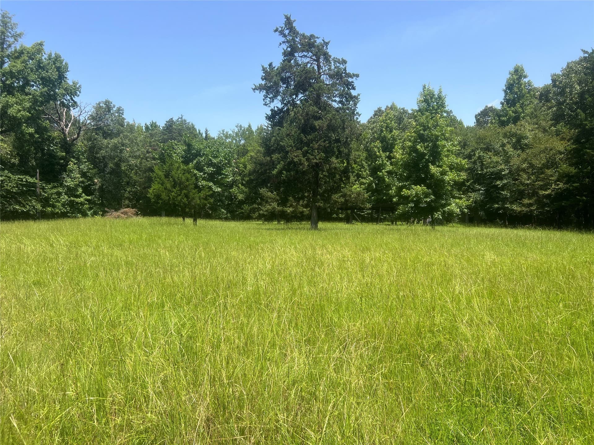 16.57 acres in Lamar County - photo 5