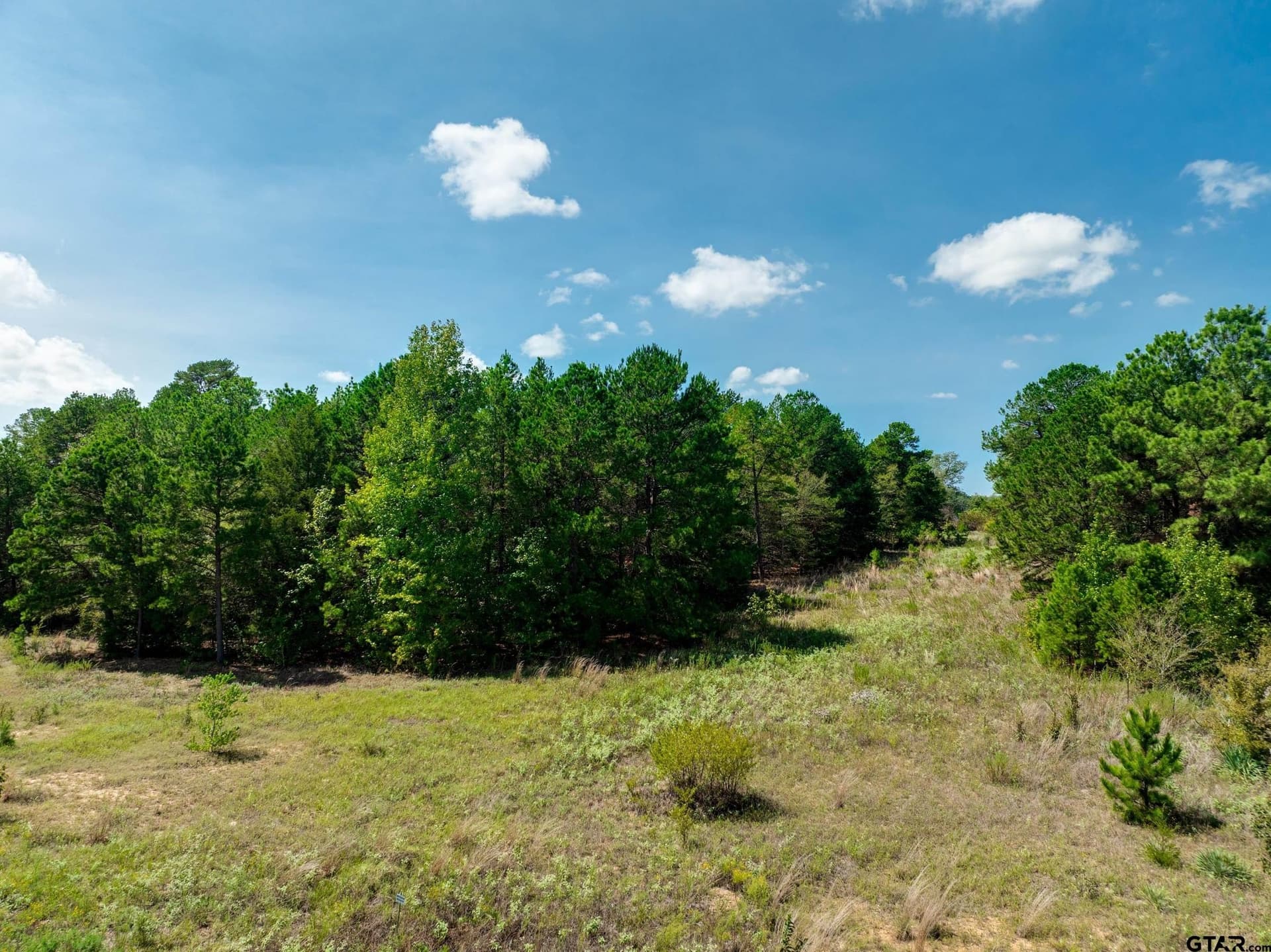 5.49 acres in Smith County - photo 11