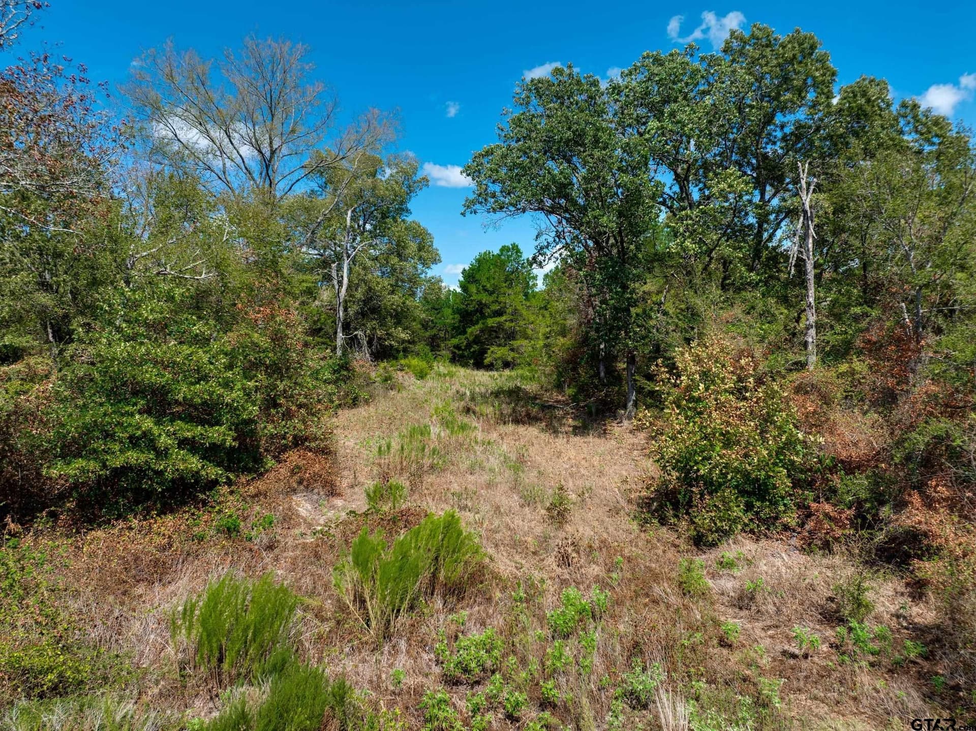5.49 acres in Smith County - photo 9