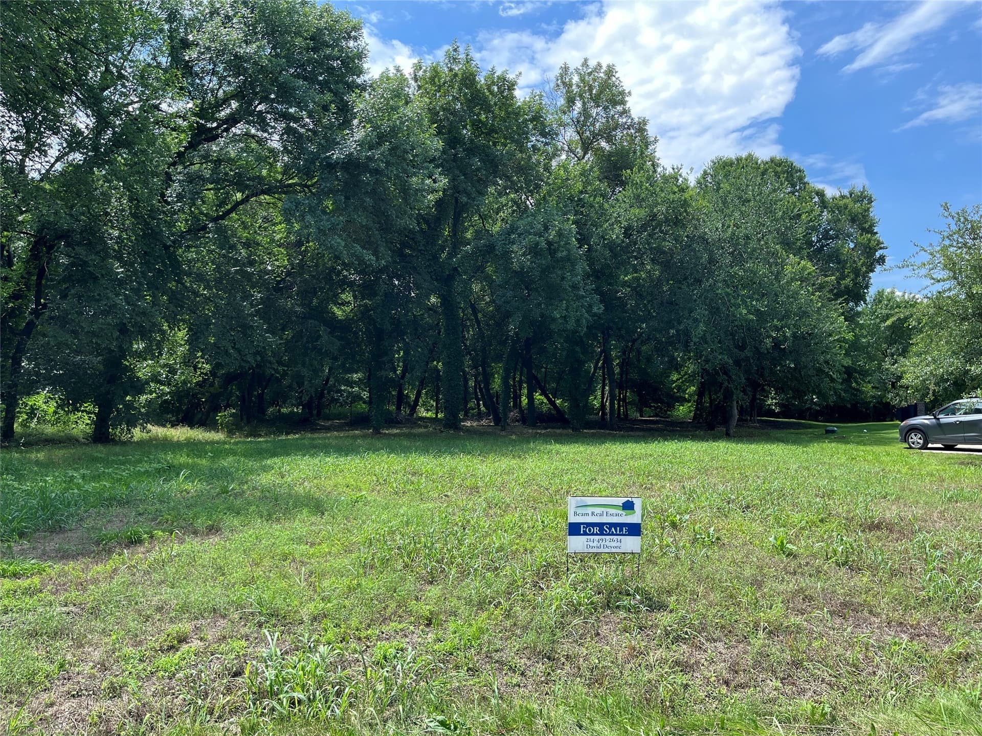 1.21 acres in Dallas County - photo 10