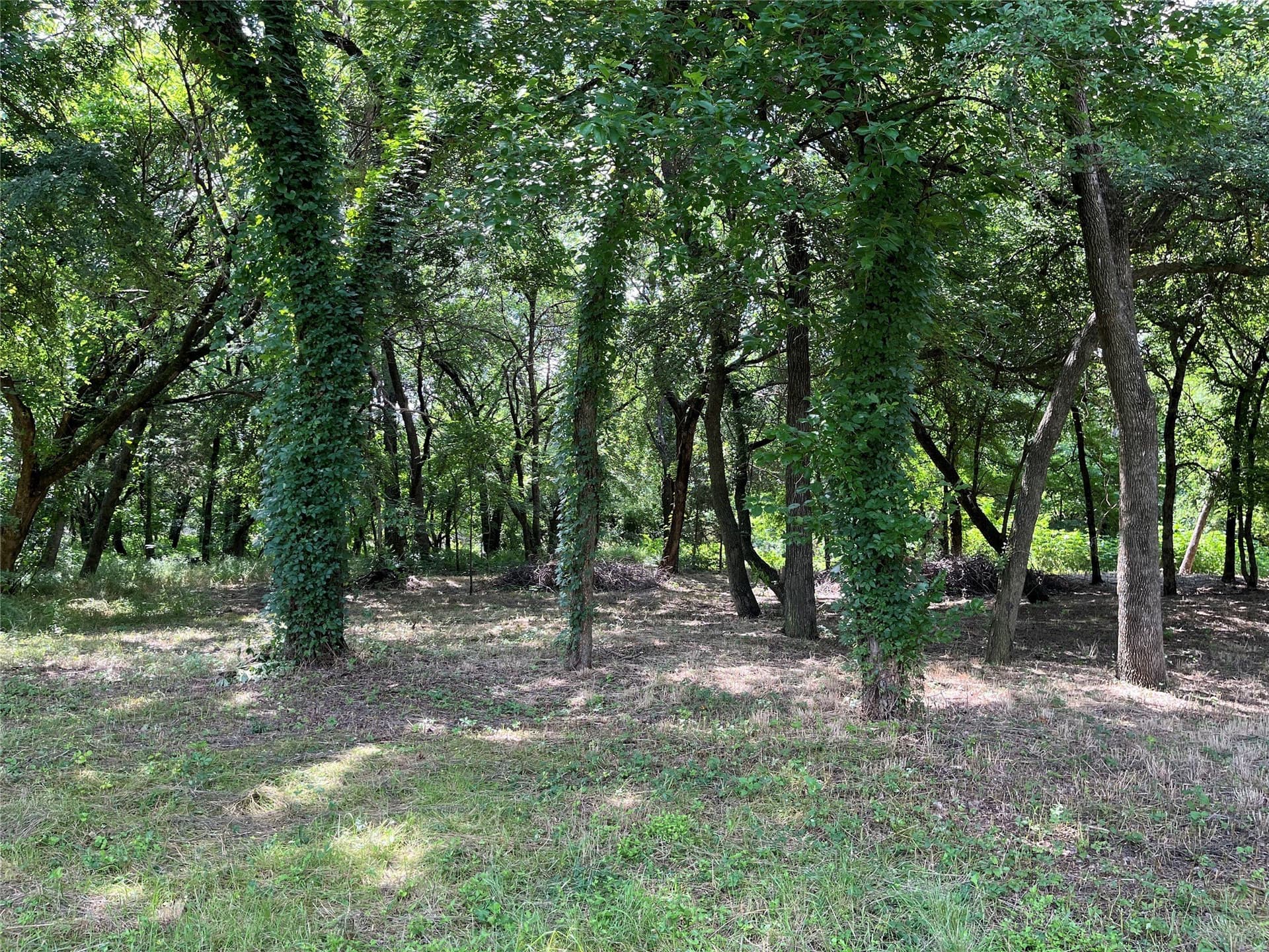1.21 acres in Dallas County - photo 12