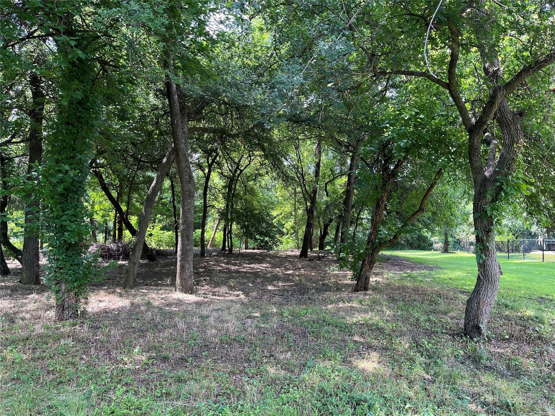1.21 acres in Dallas County - photo 11