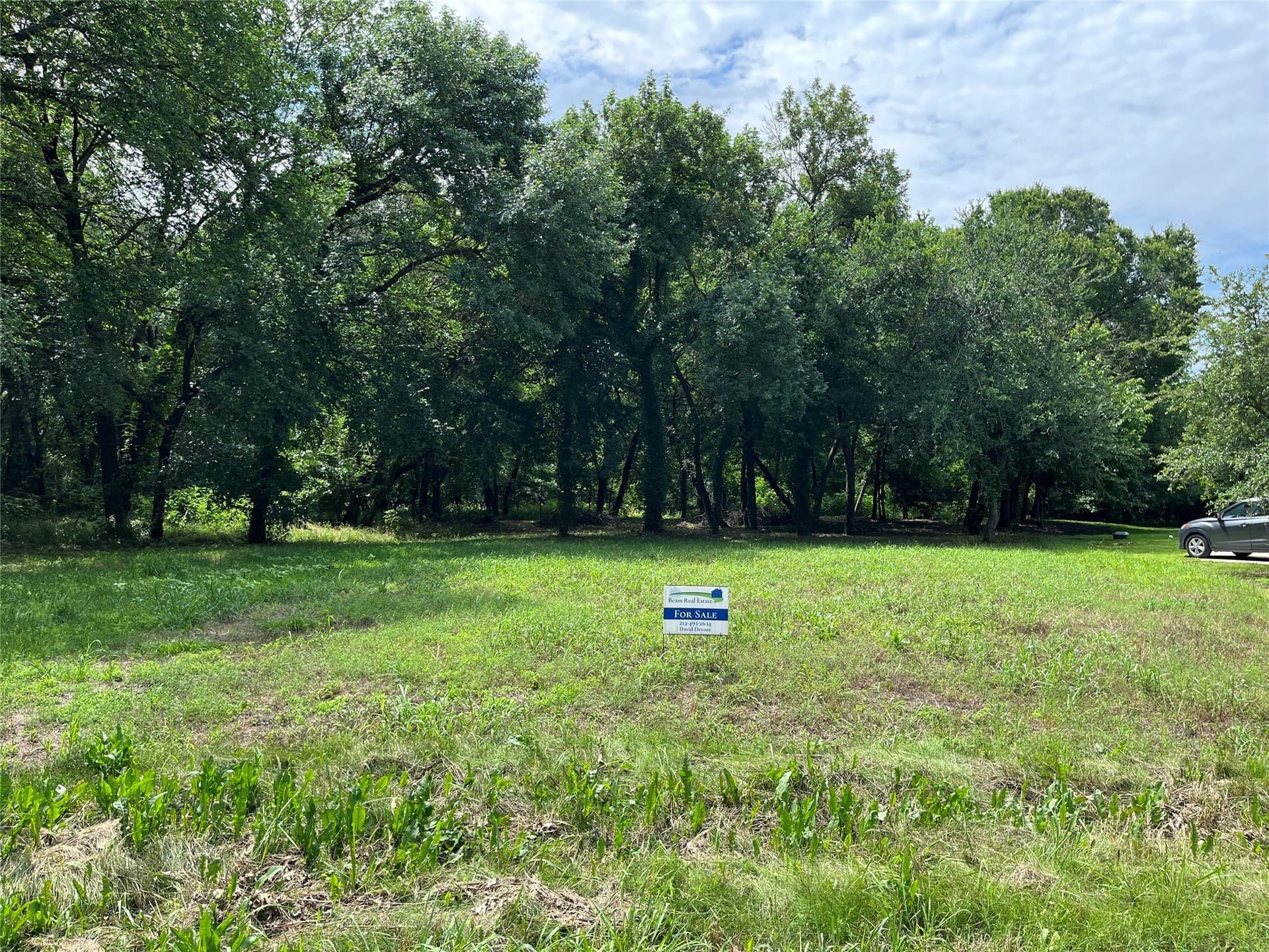 1.21 acres in Dallas County - photo 8