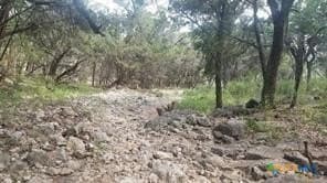 1.3 acres in Comal County gallery image 3