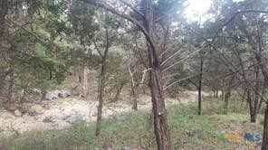 1.3 acres in Comal County