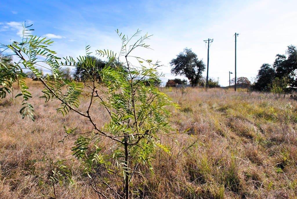 2 acres in Gillespie County - photo 14