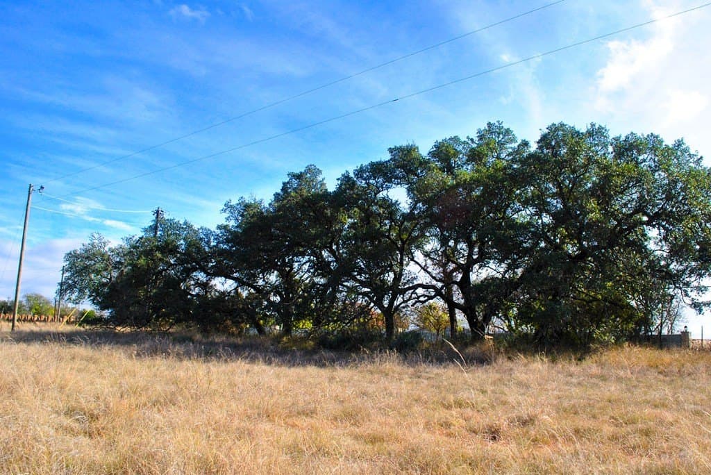 2 acres in Gillespie County - photo 15