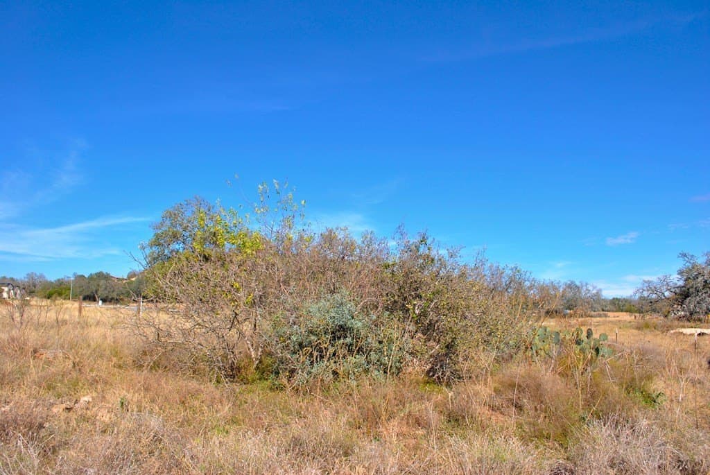2 acres in Gillespie County - photo 16