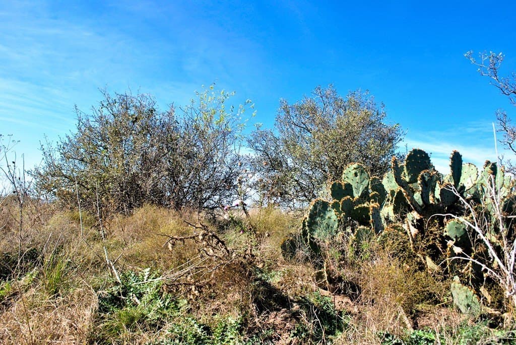 2 acres in Gillespie County - photo 11