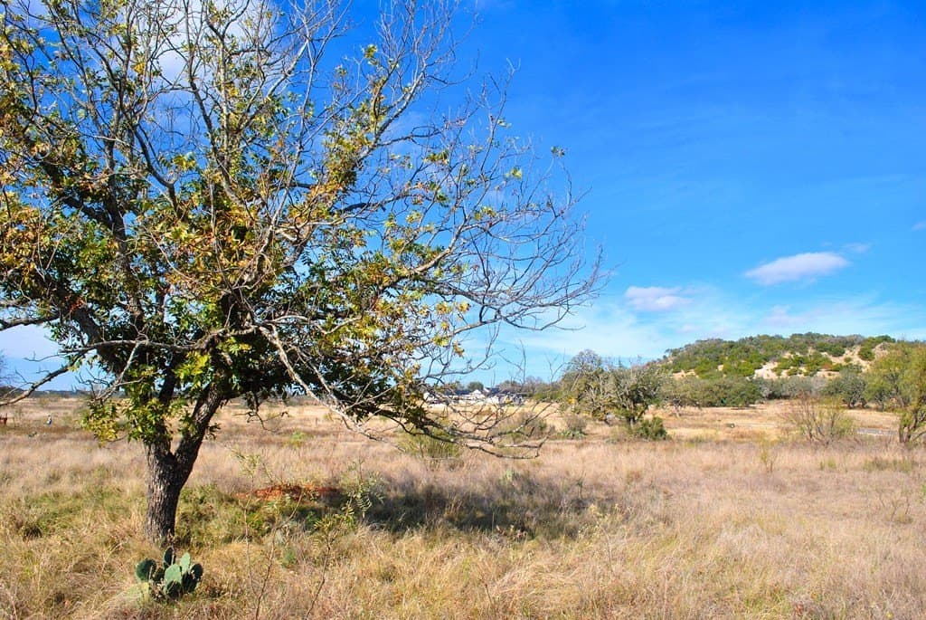 2 acres in Gillespie County - photo 7