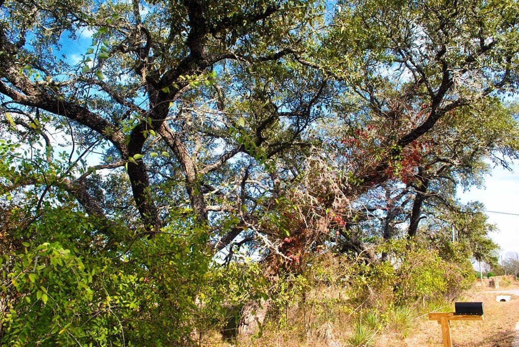 2 acres in Gillespie County - photo 19