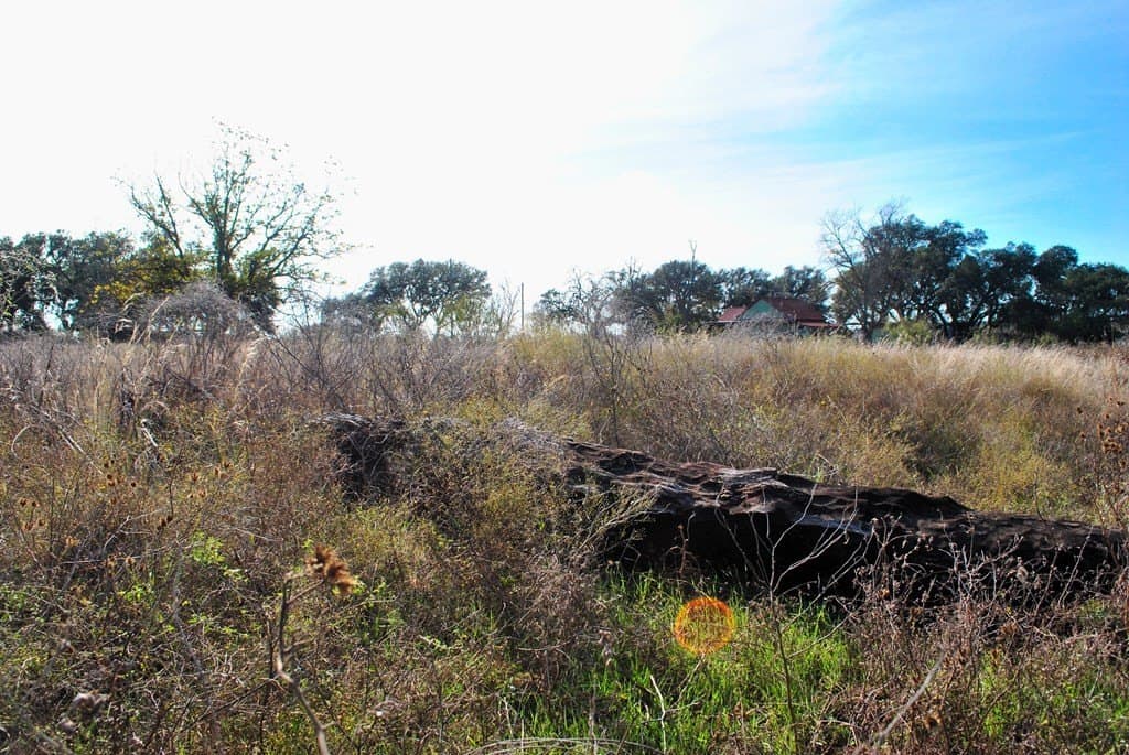 2 acres in Gillespie County - photo 18