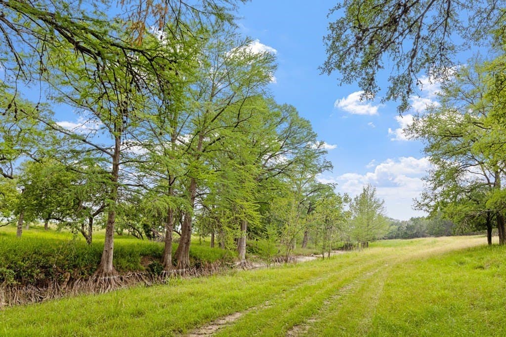 5.11 acres in Kerr County gallery image 4