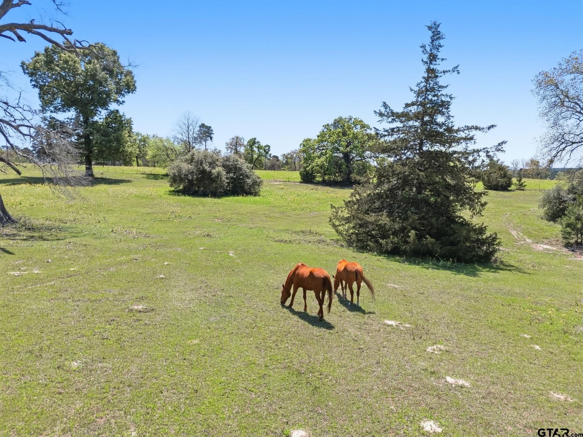 105.56 acres in Houston County gallery image 2