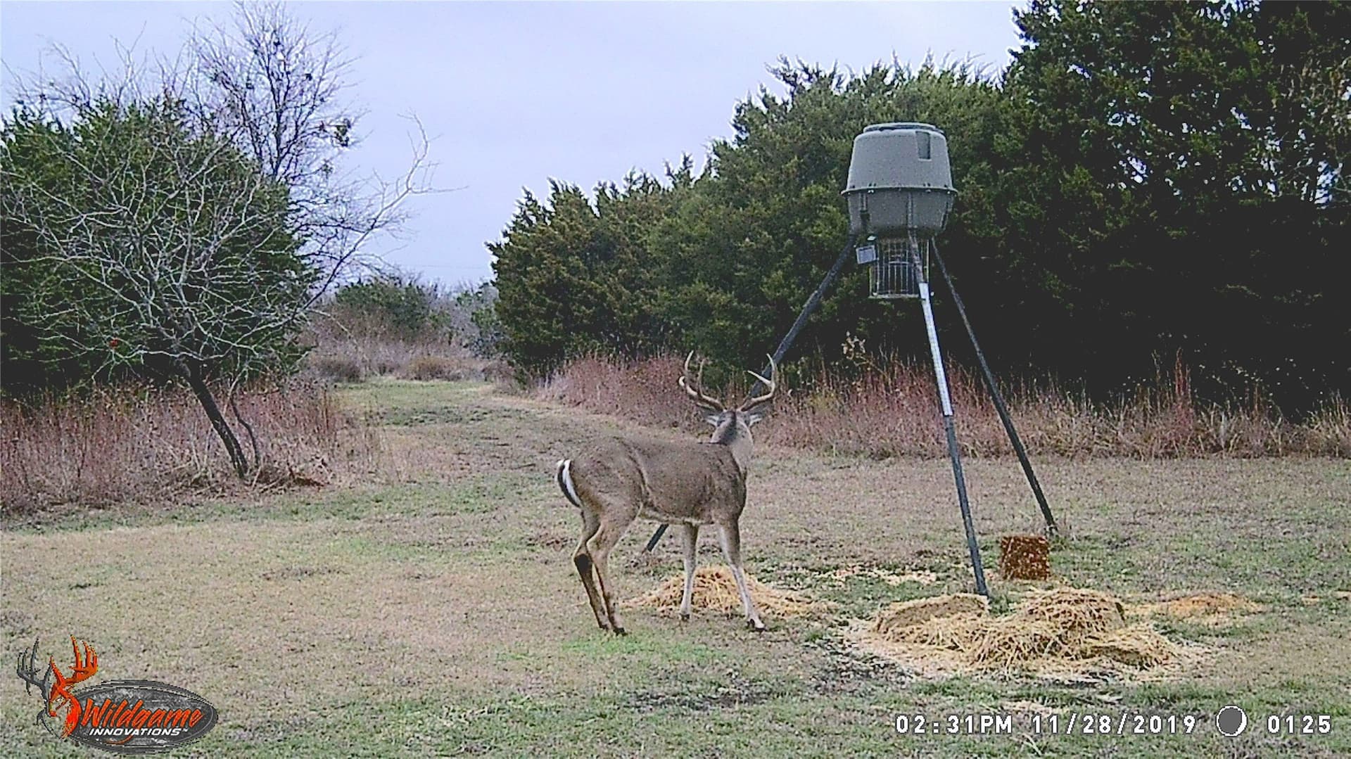 29.45 acres in Bosque County - photo 38
