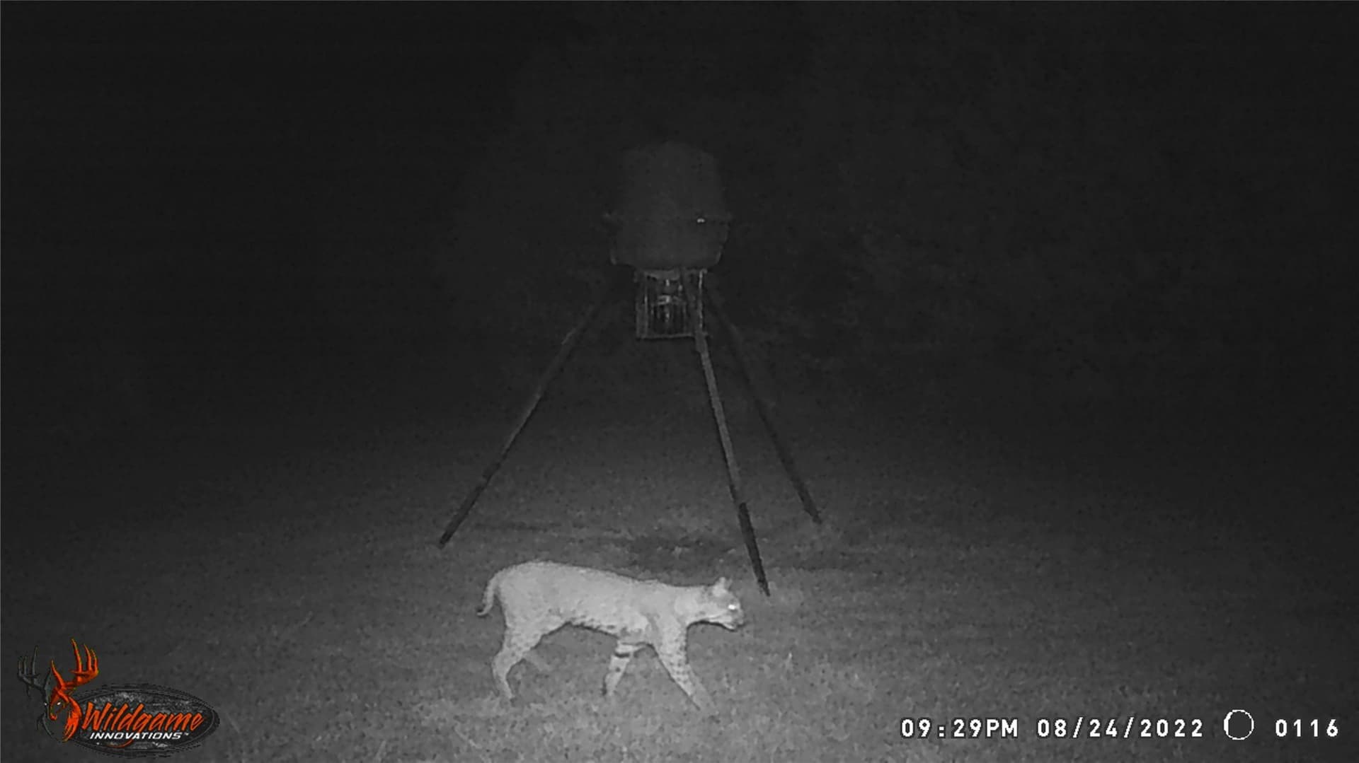 29.45 acres in Bosque County - photo 37