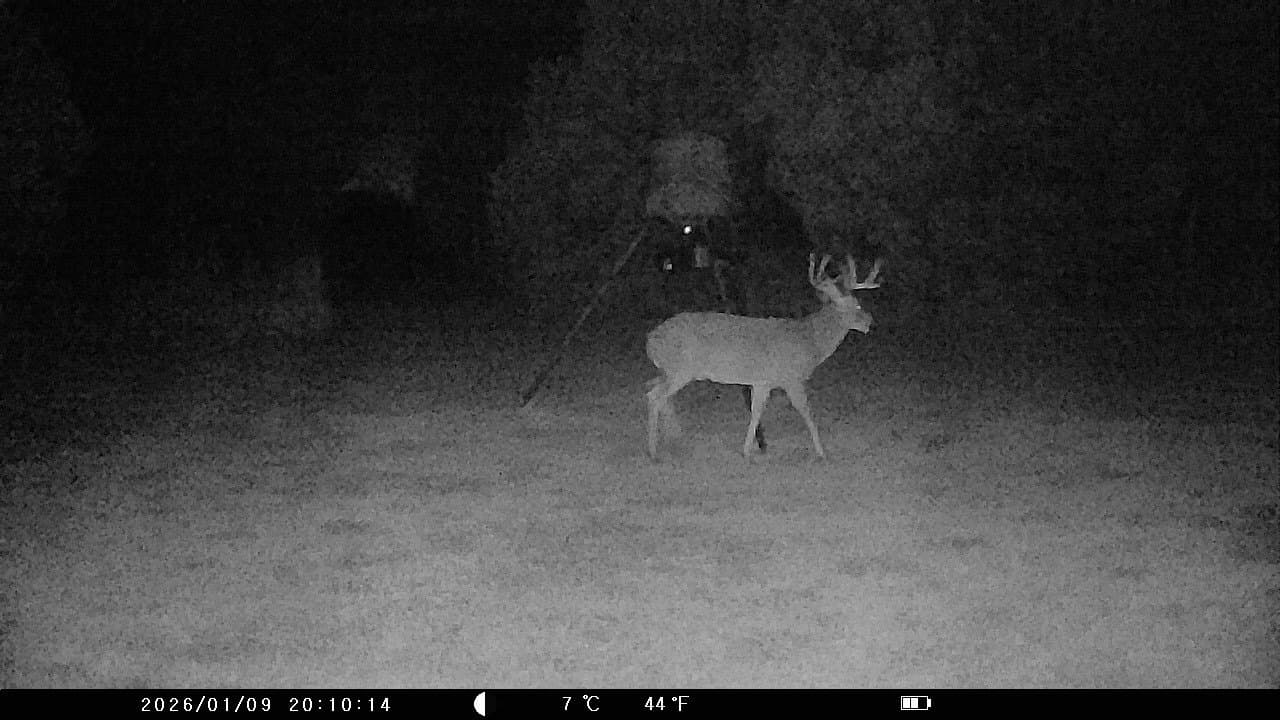 29.45 acres in Bosque County - photo 34