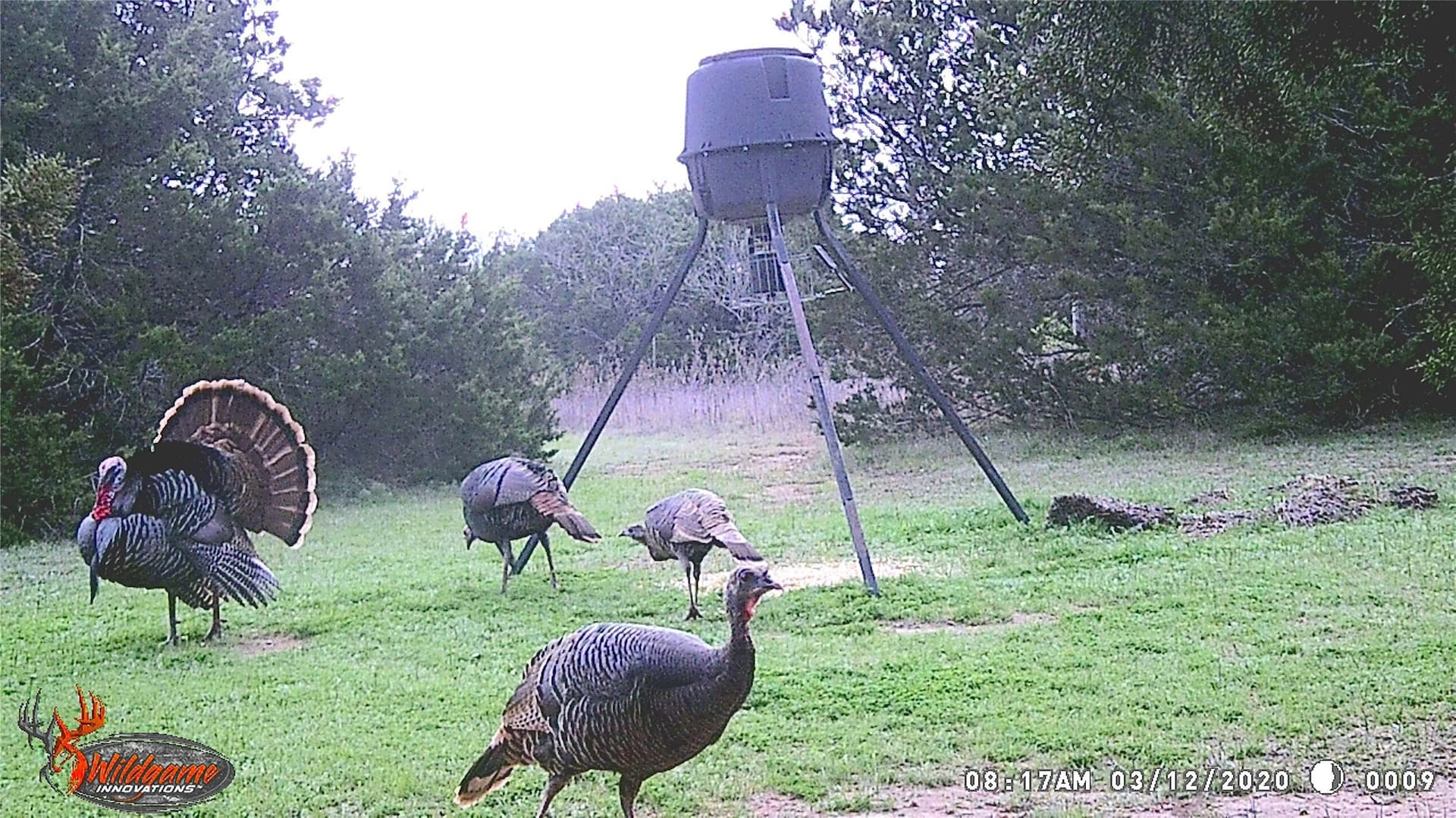 29.45 acres in Bosque County - photo 35
