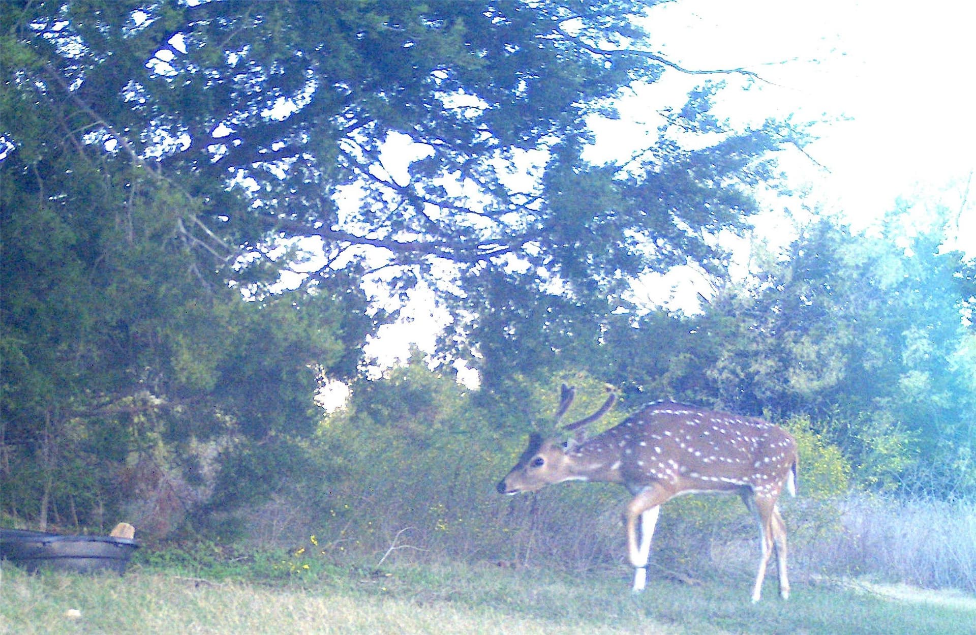 29.45 acres in Bosque County - photo 36
