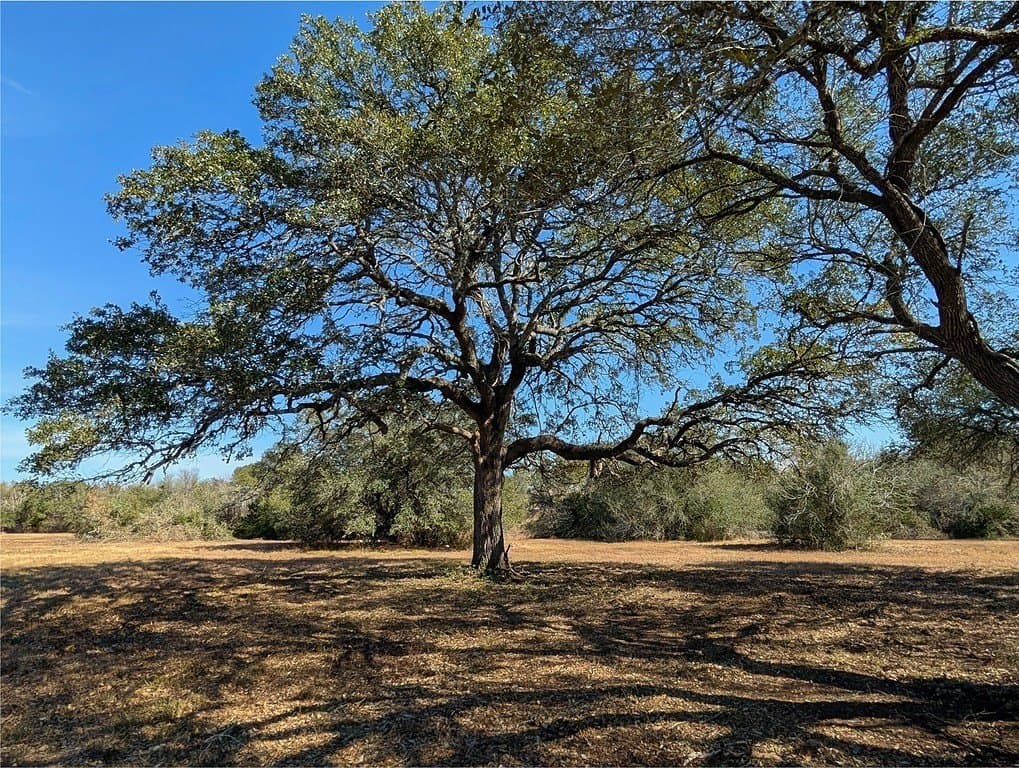 7.69 acres in Fayette County - photo 4