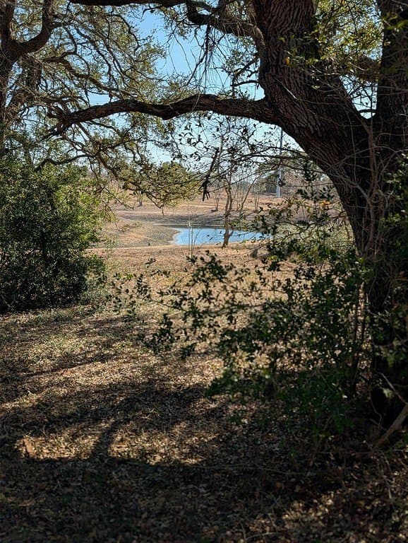 7.69 acres in Fayette County - photo 6