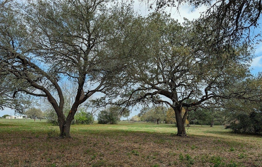7.69 acres in Fayette County - photo 11