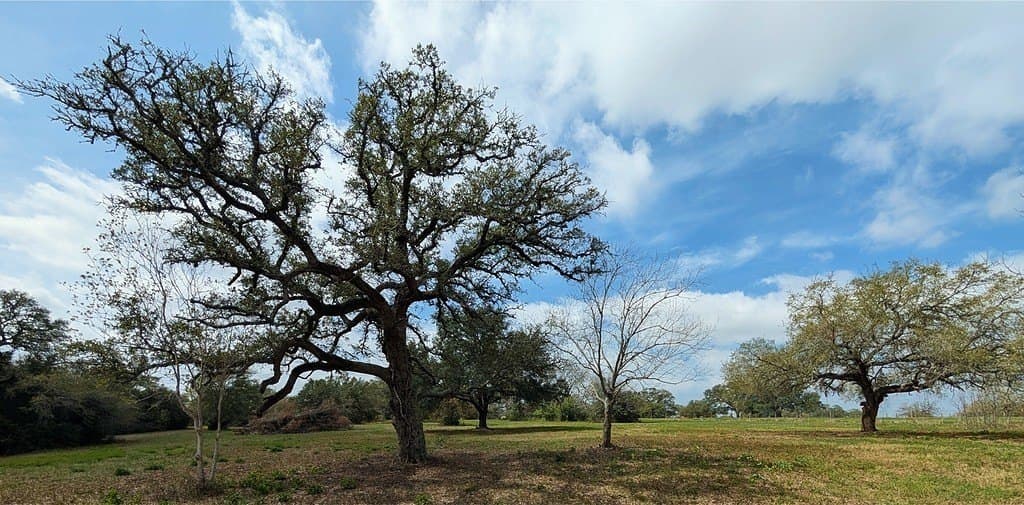 7.69 acres in Fayette County - photo 9