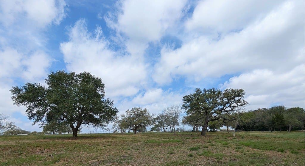 7.69 acres in Fayette County - photo 10