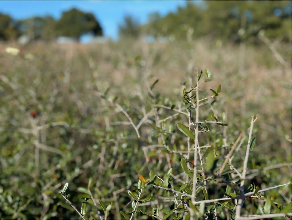 7.69 acres in Fayette County - photo 5