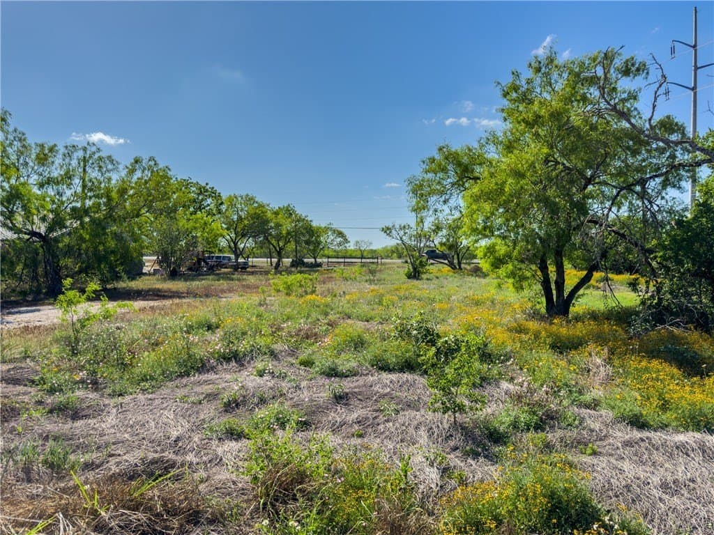 1 acres in Jim Wells County - photo 4