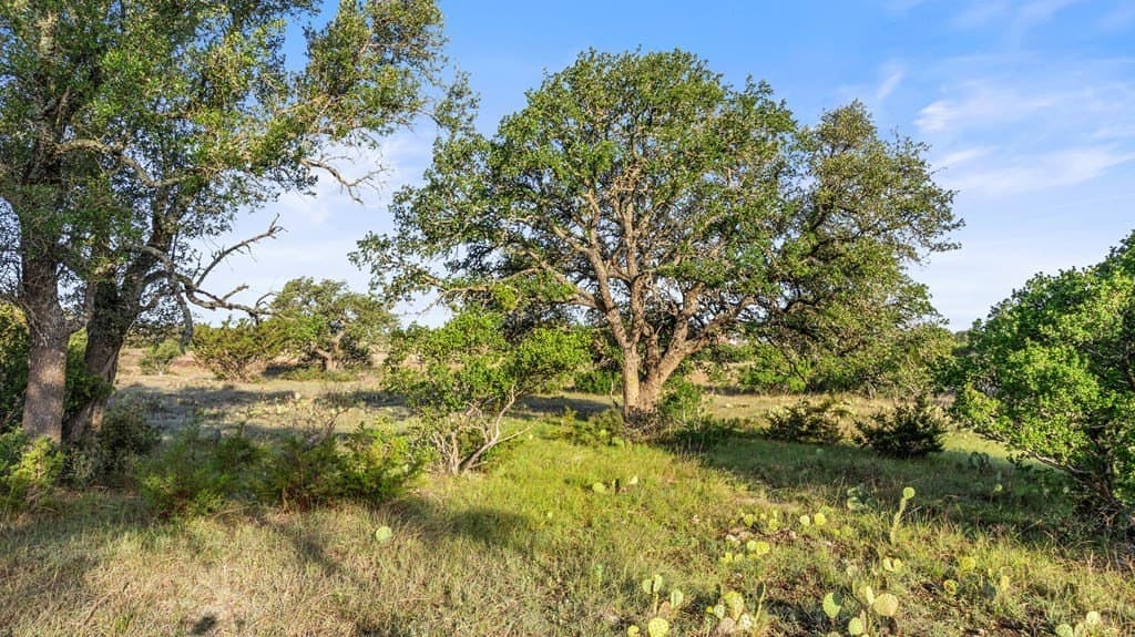 11.01 acres in Blanco County - photo 23