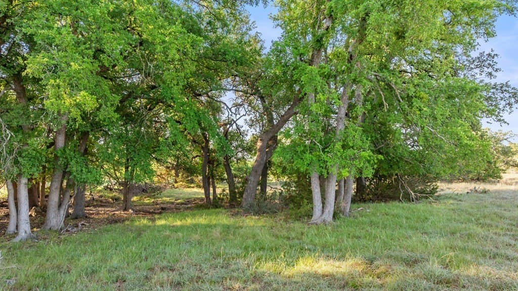 11.01 acres in Blanco County - photo 10