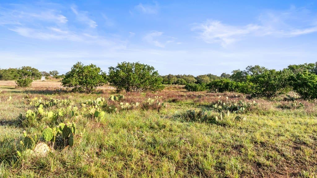 11.01 acres in Blanco County - photo 18