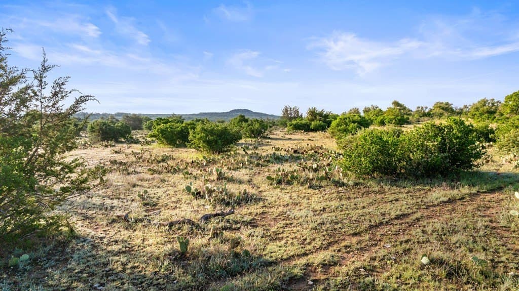 11.01 acres in Blanco County - photo 15